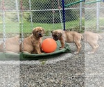 Small #2 Breeder Profile image