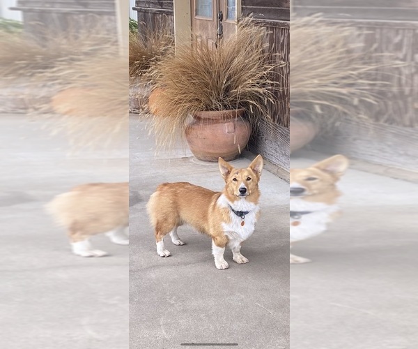 Medium Photo #1  Breeder Profile in ILIFF, CO, USA