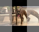 Small #2 Breeder Profile image
