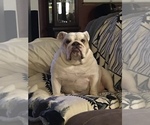 Small #21 Breeder Profile image