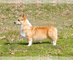Small #9 Breeder Profile image