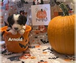 Small #1 Breeder Profile image