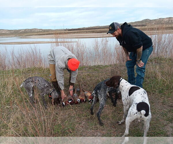 Medium Photo #12  Breeder Profile in EVANSVILLE, WY, USA