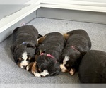 Small #5 Breeder Profile image