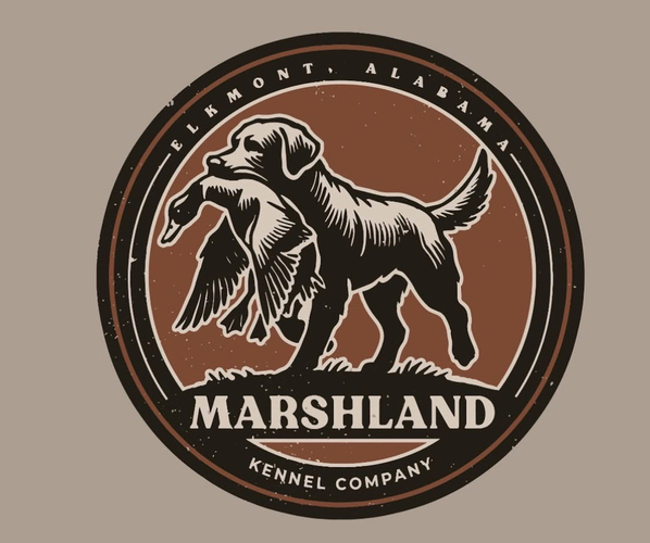 Medium Photo #1  Breeder Profile in ELKMONT, AL, USA