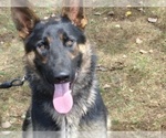 Small #5 Breeder Profile image