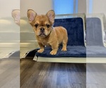 Small #9 Breeder Profile image
