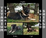 Small #4 Breeder Profile image