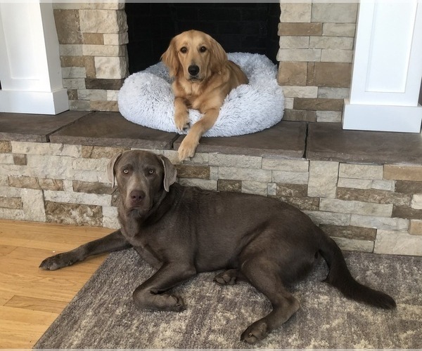Medium Photo #1  Breeder Profile in COLUMBIA, TN, USA