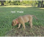 Small #4 Breeder Profile image