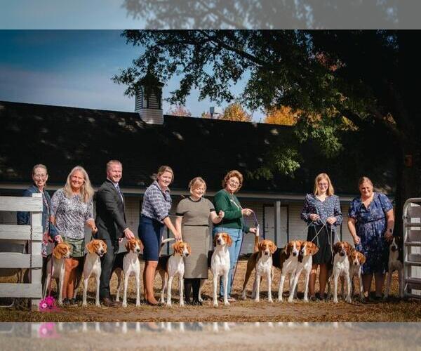 Medium Photo #5  Breeder Profile in LUTZ, FL, USA