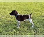 Small #29 Breeder Profile image