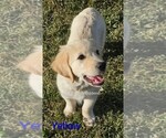 Small #3 Breeder Profile image