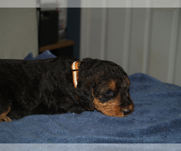 Medium Photo #1  Breeder Profile in CHARLESTOWN, IN, USA