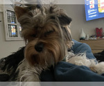 Small #14 Breeder Profile image