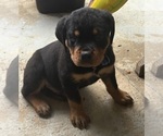 Small #2 Breeder Profile image