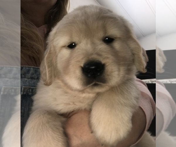Medium Photo #34  Breeder Profile in HEMET, CA, USA