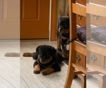 Small #2 Breeder Profile image