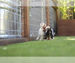 Small #2 Breeder Profile image