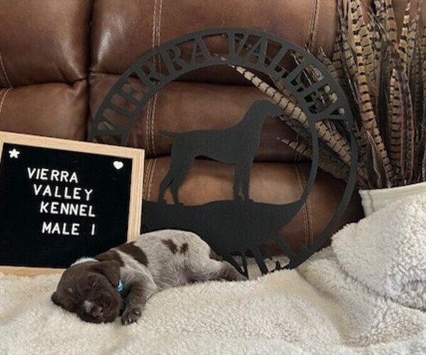 Medium Photo #1  Breeder Profile in NINE MILE FALLS, WA, USA