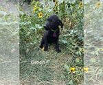 Small #3 Breeder Profile image