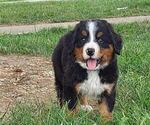 Small #3 Breeder Profile image