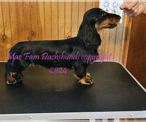 Medium Photo #1  Breeder Profile in HARTFORD, MI, USA