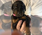 Small #5 Breeder Profile image