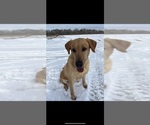 Small #5 Breeder Profile image