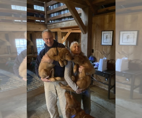 Medium Photo #1  Breeder Profile in READING, VT, USA