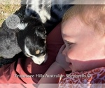 Small #22 Breeder Profile image