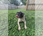 Small #1 Breeder Profile image
