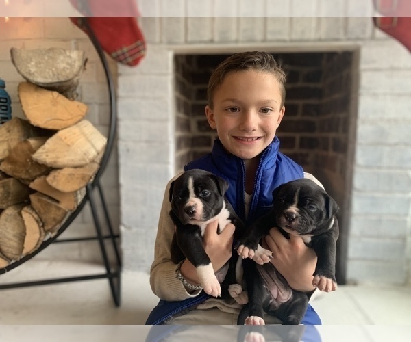 Medium Photo #51  Breeder Profile in COLUMBIA, KY, USA