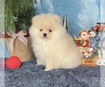 Small #6 Breeder Profile image