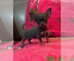 Small #74 Breeder Profile image