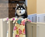 Small #22 Breeder Profile image