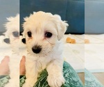 Small #9 Breeder Profile image