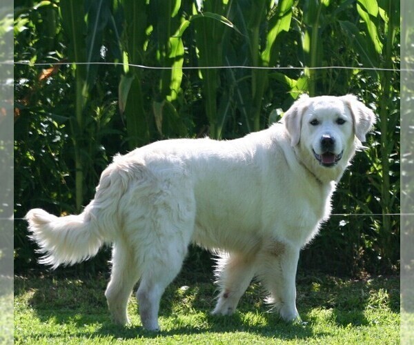Medium Photo #2  Breeder Profile in MARSHFIELD, WI, USA
