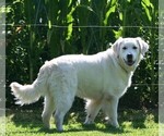 Small #1 Breeder Profile image