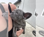 Small #7 Breeder Profile image