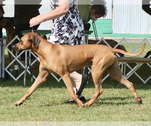 Medium Photo #1  Breeder Profile in WATERFORD, WI, USA
