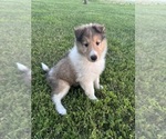 Small breeder photo