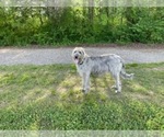 Small #2 Breeder Profile image
