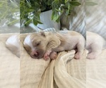 Small #13 Breeder Profile image