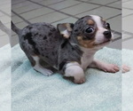 Small #73 Breeder Profile image