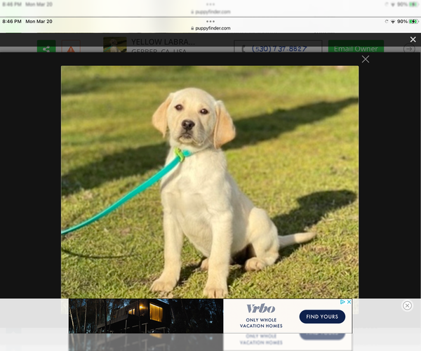 Medium Photo #5  Breeder Profile in WILLITS, CA, USA
