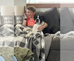 Small #3 Breeder Profile image