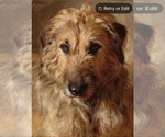 Small #6 Breeder Profile image