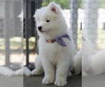 Small #6 Breeder Profile image