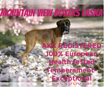 Small #1 Breeder Profile image